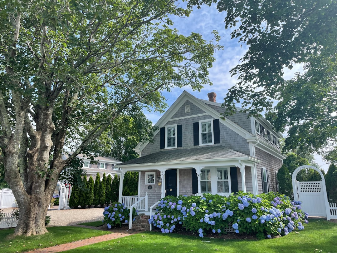 Photo by Omri D. Cohen white and gray wooden house near green trees under white clouds during daytime