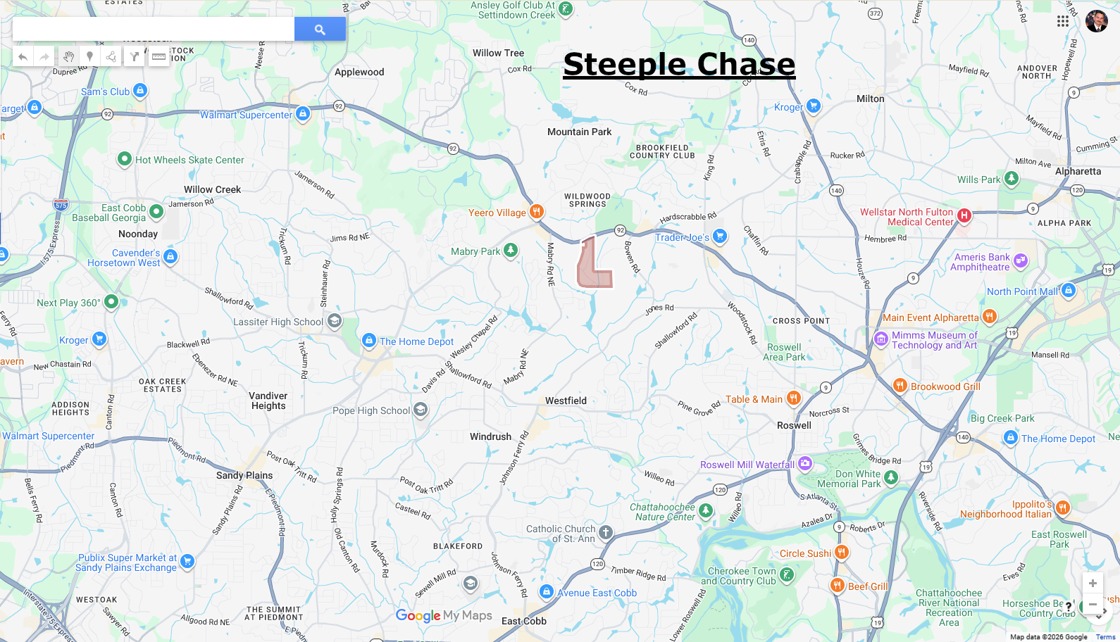 Steeple Chase